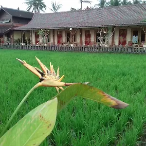Rice Padi Artha 5* Ubud (Bali)